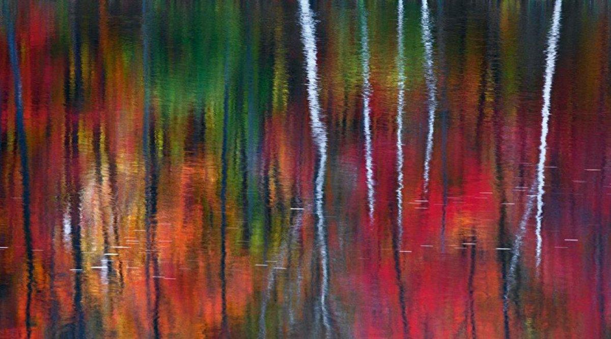 Bir Fotoğrafa 6.5 Milyon Dolar Verilir mi? Lamborghini Fiyatlarına Kafa Tutacak Kadar Pahalı Olan 20 Fotoğraf