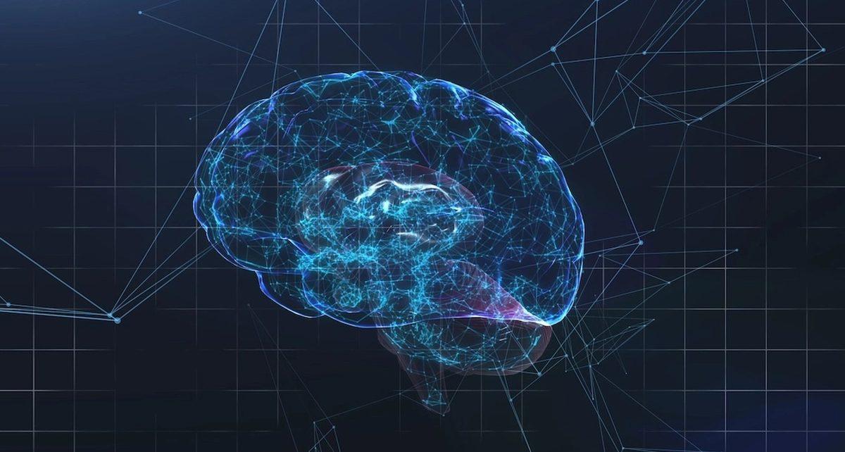 Beynin ’Google Earth’ Gibi Detaylı Haritası Çıkarılacak: İnsan Beyni, Daha Önce Hiç Olmadığı Kadar Detaylı İncelenecek