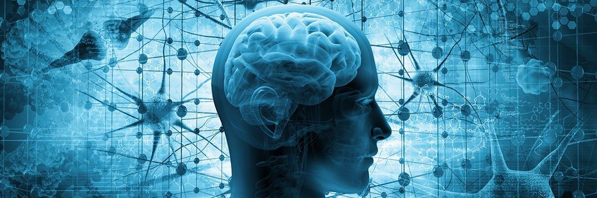 Beynin ’Google Earth’ Gibi Detaylı Haritası Çıkarılacak: İnsan Beyni, Daha Önce Hiç Olmadığı Kadar Detaylı İncelenecek