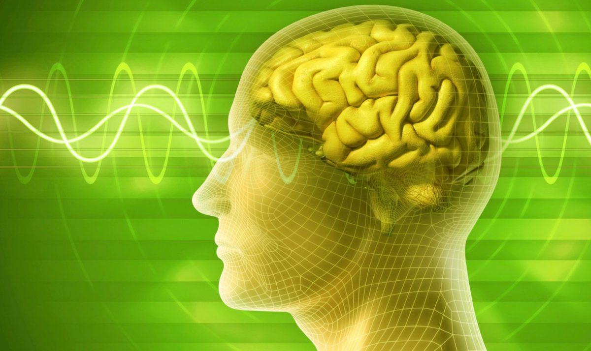 Beynin ’Google Earth’ Gibi Detaylı Haritası Çıkarılacak: İnsan Beyni, Daha Önce Hiç Olmadığı Kadar Detaylı İncelenecek