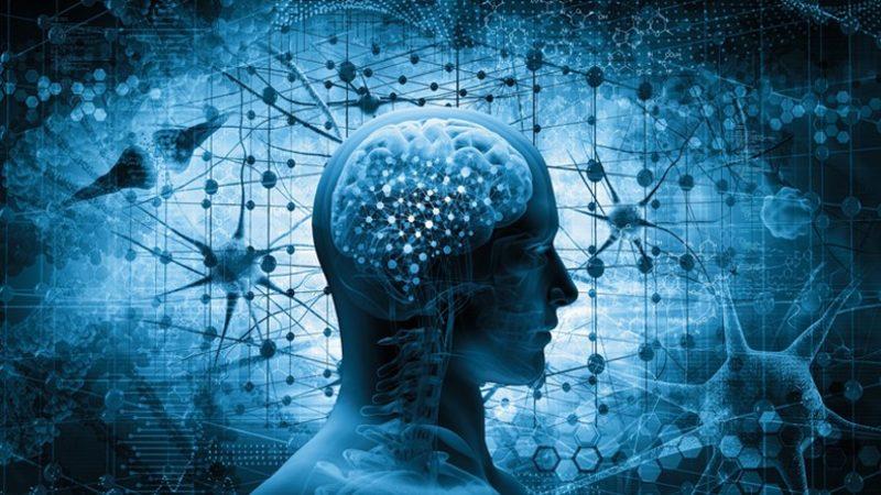 Beynin ’Google Earth’ Gibi Detaylı Haritası Çıkarılacak: İnsan Beyni, Daha Önce Hiç Olmadığı Kadar Detaylı İncelenecek