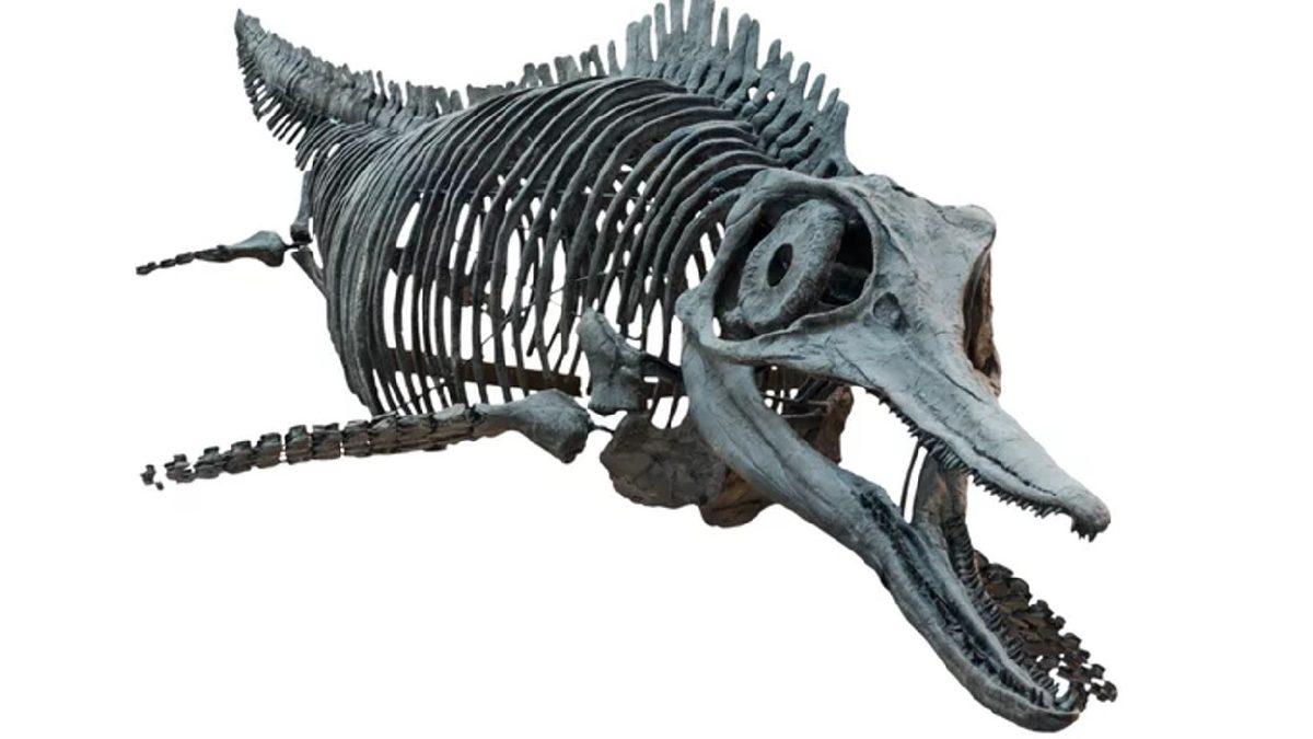 Gelmiş Geçmiş En Büyük Deniz Sürüngeninin ’İhtiyozor’ Olduğu Ortaya Çıktı: Boyutları Neredeyse Megaladonla Eşit!