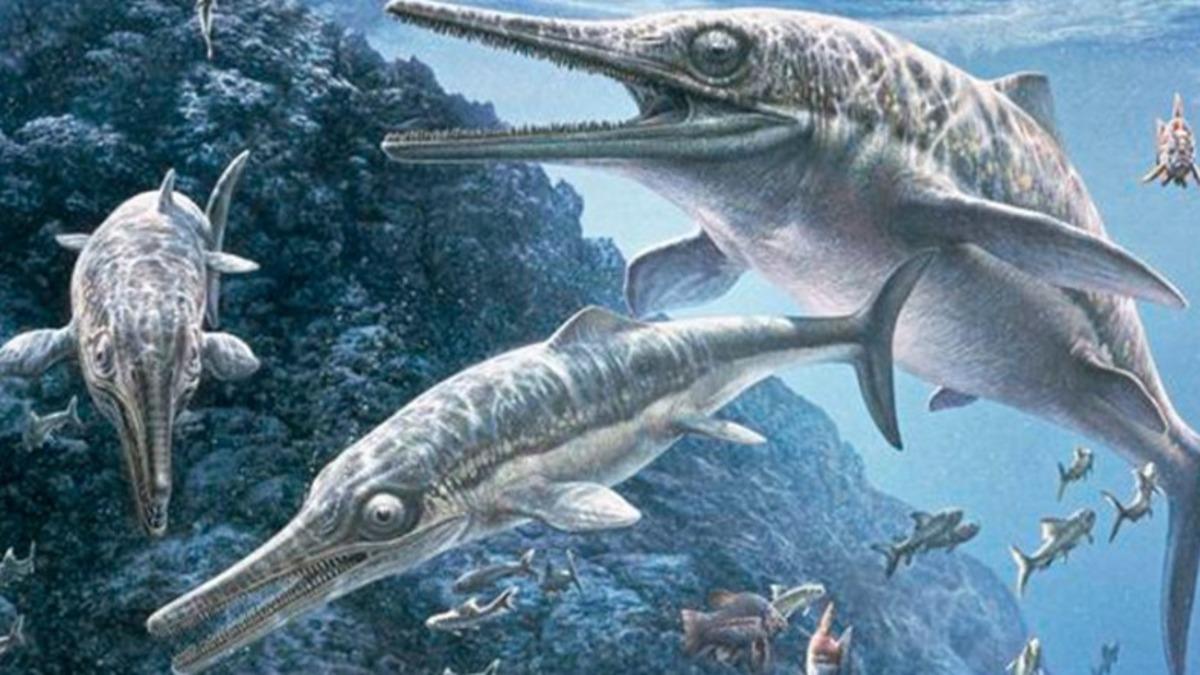 Gelmiş Geçmiş En Büyük Deniz Sürüngeninin ’İhtiyozor’ Olduğu Ortaya Çıktı: Boyutları Neredeyse Megaladonla Eşit!