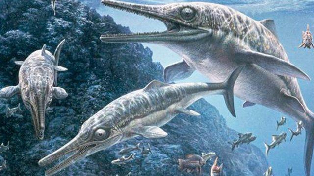 Gelmiş Geçmiş En Büyük Deniz Sürüngeninin ’İhtiyozor’ Olduğu Ortaya Çıktı: Boyutları Neredeyse Megaladonla Eşit!