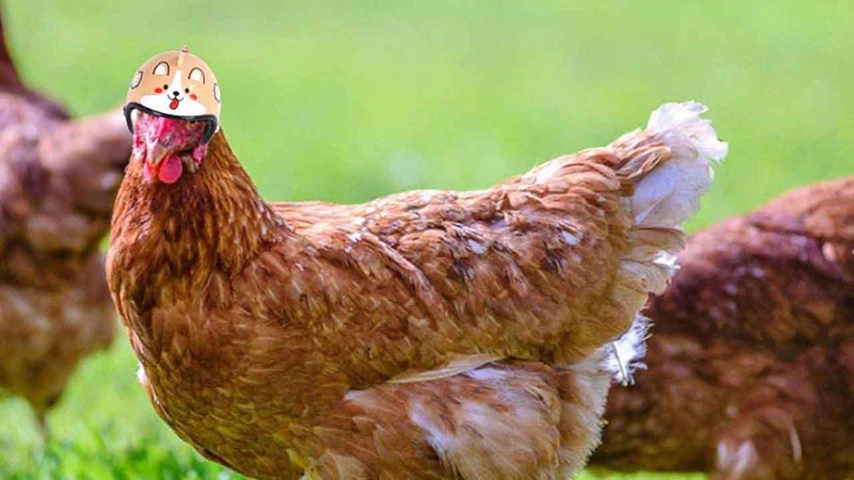 Aliexpress’te Görüp Görebileceğiniz En Garip 15 Ürün (Bazılarının Neden Üretildiği Bile Belirsiz)