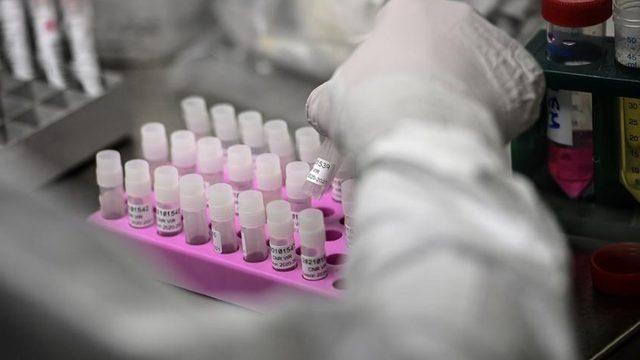 Bilim İnsanları, ABD’de 7 Yeni Koronavirüs Varyantı Tespit Etti