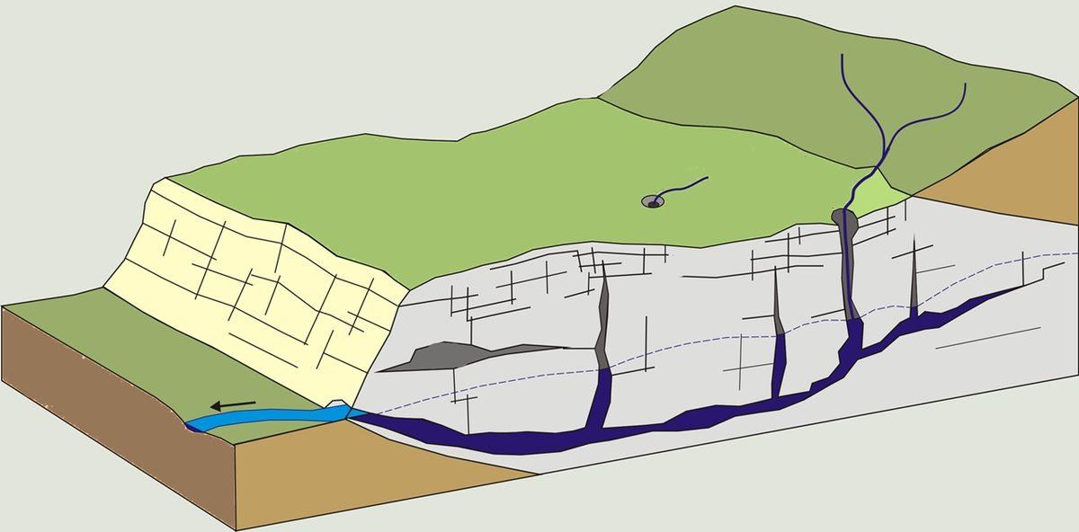 Bir Dal Parçasıyla Metrelerce Derindeki Su Kaynağını Tespit Etmek Gerçekten Mümkün mü?