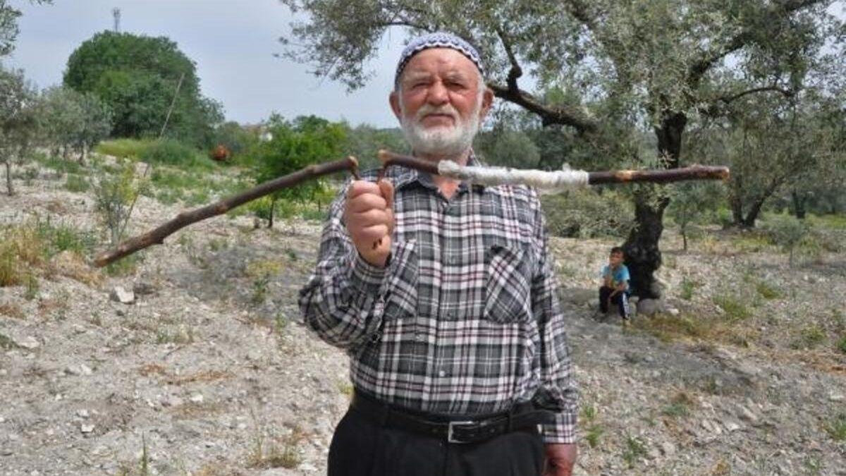 Bir Dal Parçasıyla Metrelerce Derindeki Su Kaynağını Tespit Etmek Gerçekten Mümkün mü?