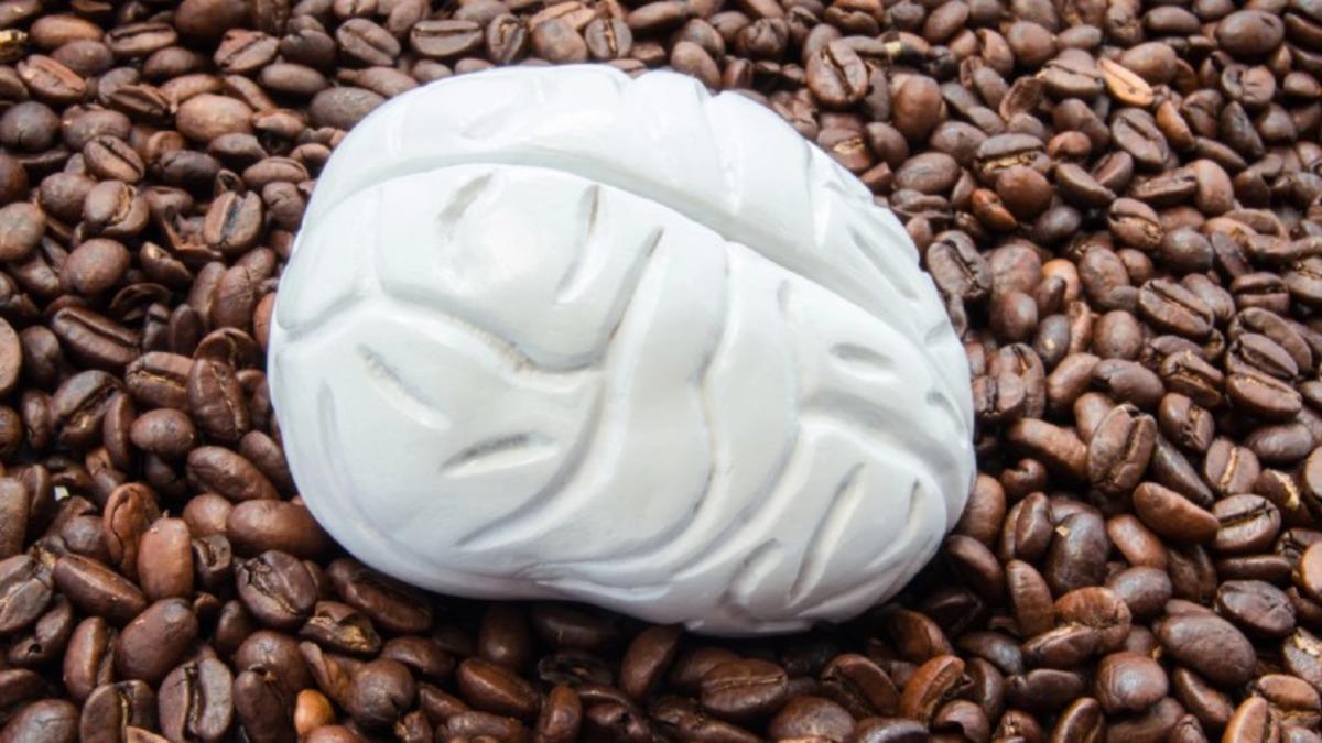 Kafein Tüketiminin Beyindeki ’Gri Maddeyi’ Azalttığı Ortaya Çıktı