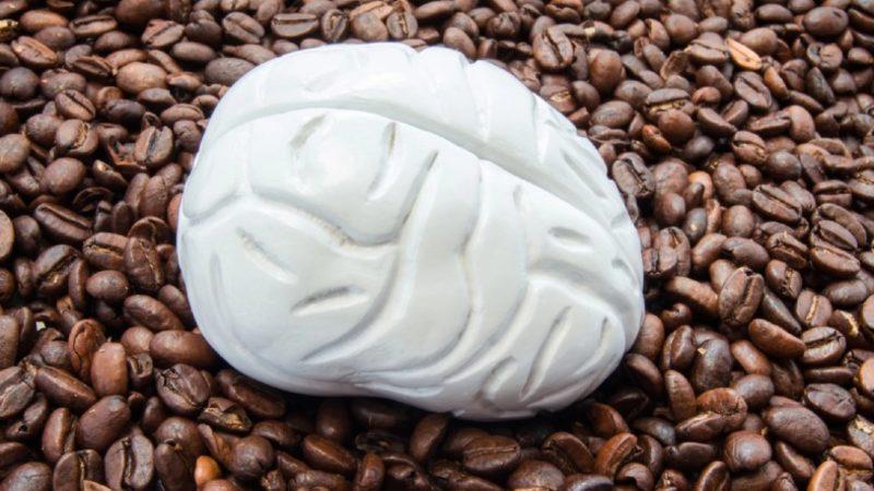 Kafein Tüketiminin Beyindeki ’Gri Maddeyi’ Azalttığı Ortaya Çıktı