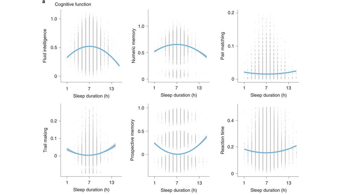 Yetişkinler İçin İdeal Uyku Süresinin Kaç Saat Olduğu Açıklandı