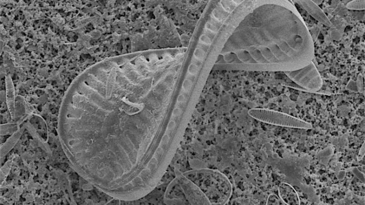 Torunlarımız İçin Sıradan Olacak 10 Teknoloji