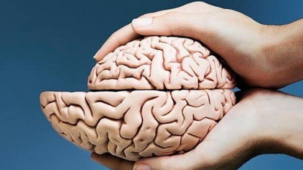 Covid-19’un Etkisiyle Azalan Beyindeki ’Gri Madde’ Nedir, Nasıl Arttırılır?