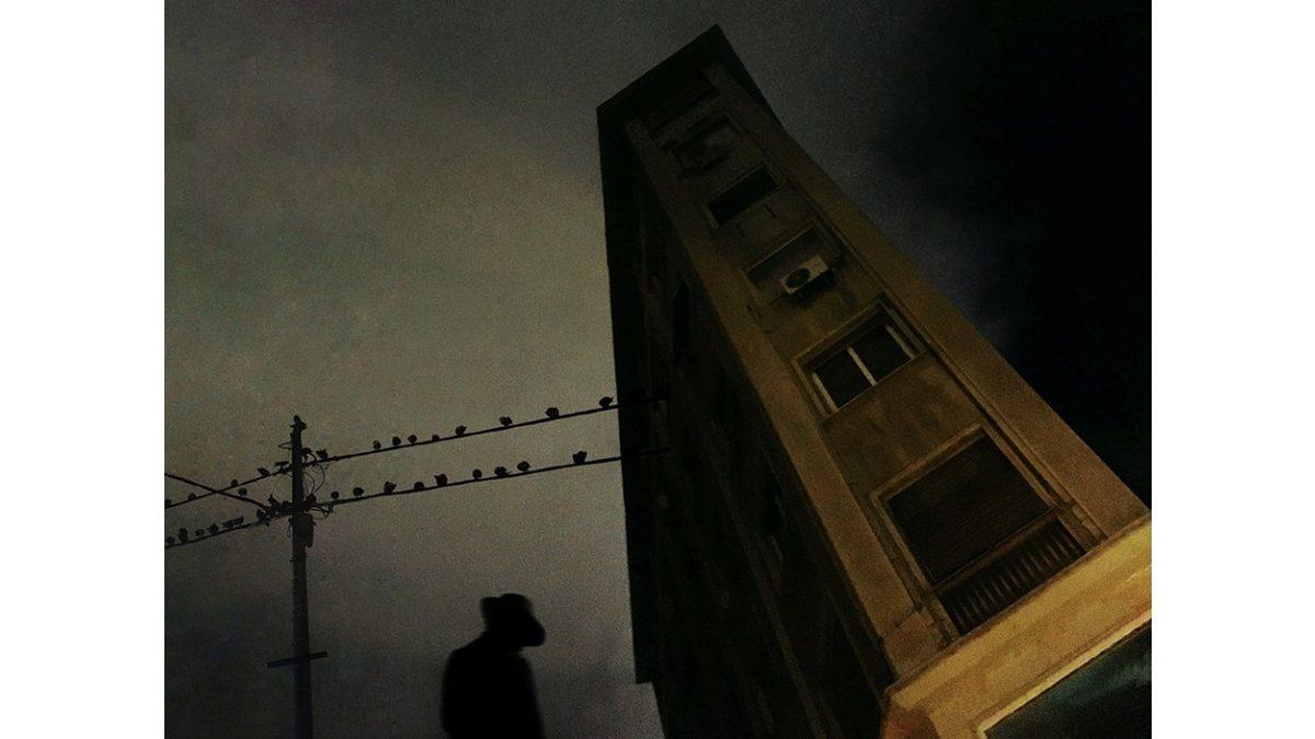 10. Mobil Fotoğrafçılık Ödülleri'nin Kazananları Açıklandı 18 10. Mobil Fotoğrafçılık Ödülleri’nin Profesyonelleri Kıskandıracak Kazananları Belli Oldu