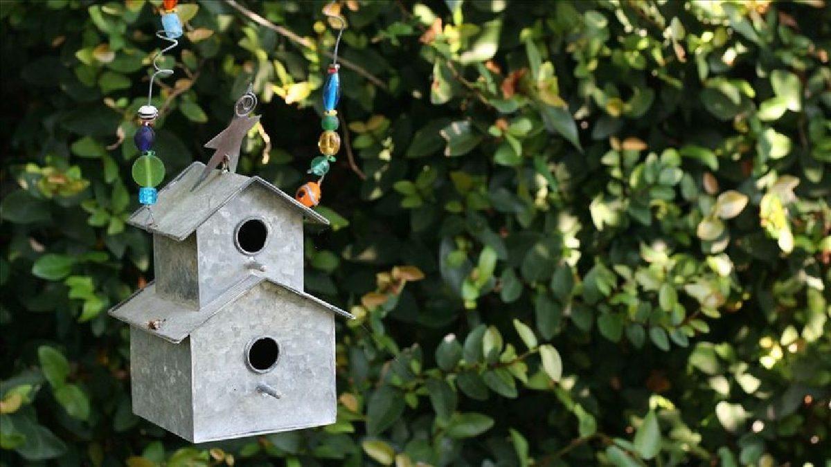 Gökyüzünün Hakimleri ’Kuşlar’ Yok Olma Tehlikesi ile Karşı Karşıya: Bunun da Sebebi Biziz!