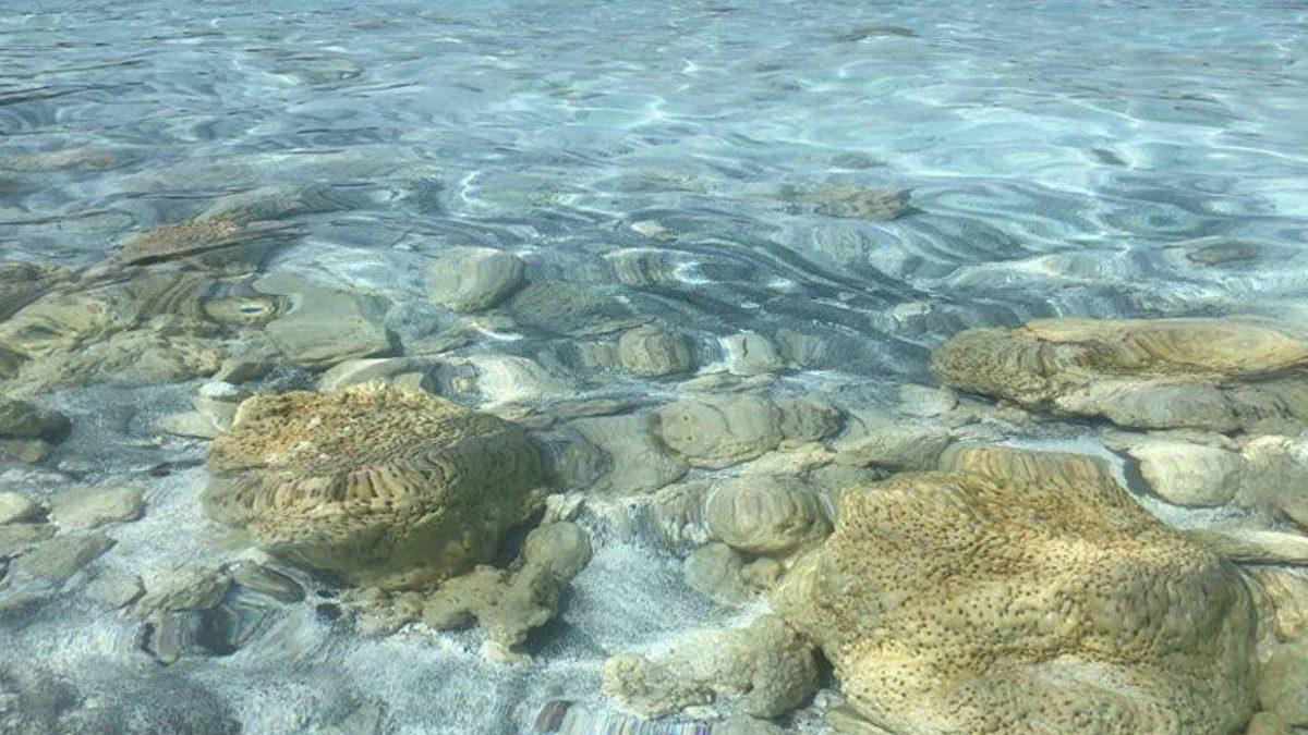 NASA’nın ’Salda Gölü’ Paylaşımının Ardından Türk Profesörden Heyecan Verici Açıklama