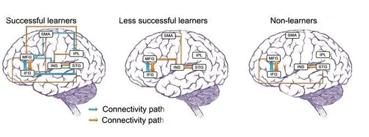 Yeni Bir Dil Öğrendiğimizde Beynimizde Gerçekleşen Sıra Dışı Değişiklikler