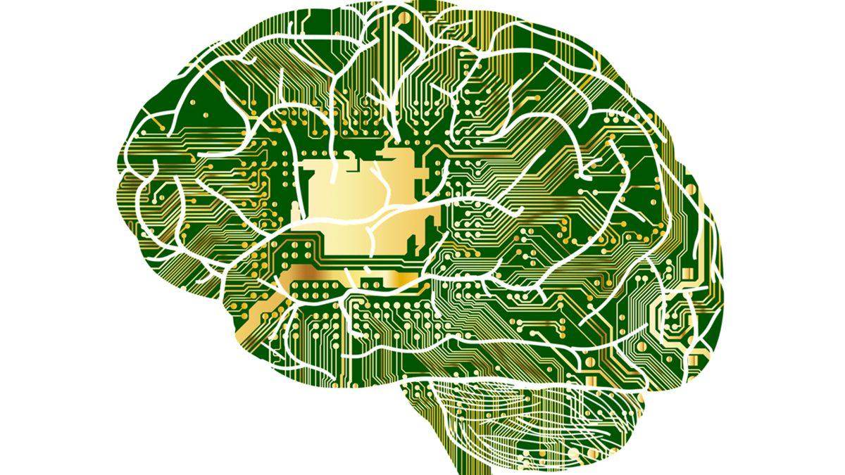Yeni Bir Dil Öğrendiğimizde Beynimizde Gerçekleşen Sıra Dışı Değişiklikler