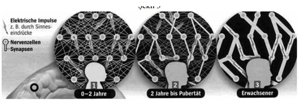 Yeni Bir Dil Öğrendiğimizde Beynimizde Gerçekleşen Sıra Dışı Değişiklikler