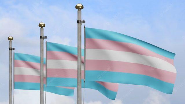 Anlamı ’Karşı Cinsiyet Gibi Giyinmek’ Olmayan Transeksüellik Aslında Nedir? Neden Bir Hastalık ya da Tercih Değildir?