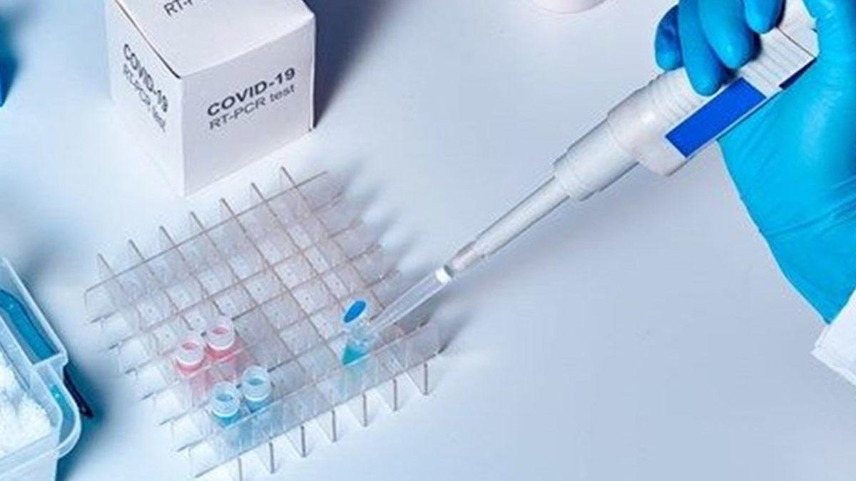 COVID-19 Mutasyonunun Bulaşı 1.5 Kat Artırdığı İspatlandı