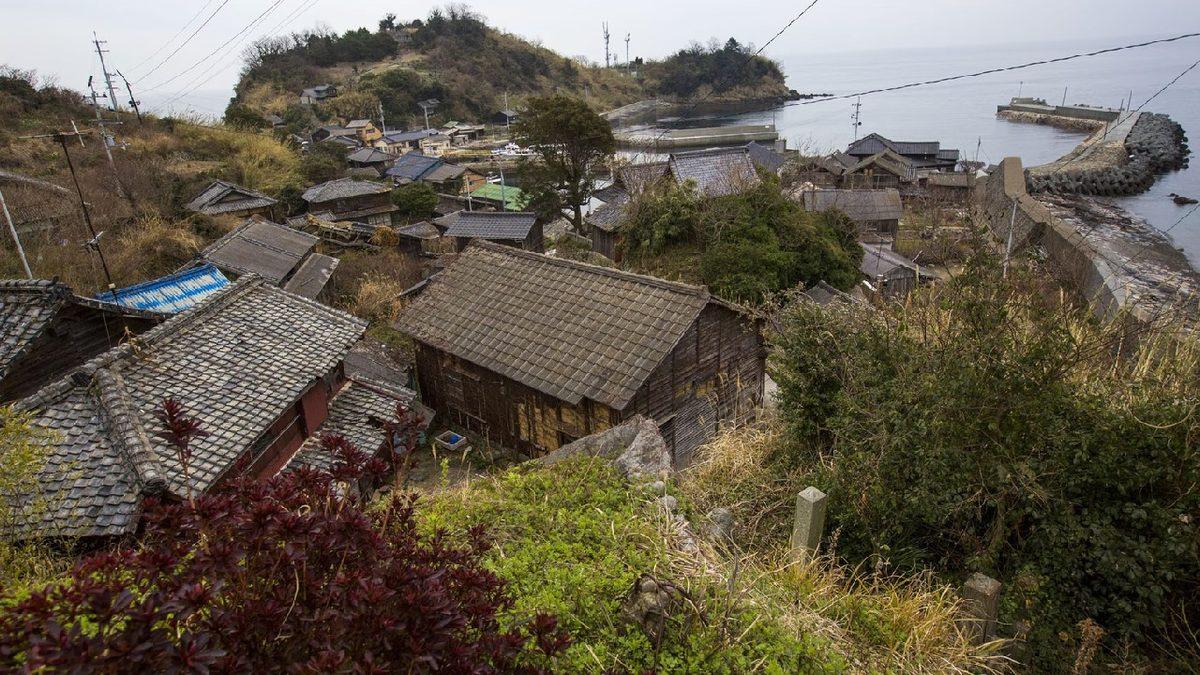 İnsandan 6 Kat Fazla Kedinin Yaşadığı Dünyanın En ’Sevimli’ Adası: Aoshima