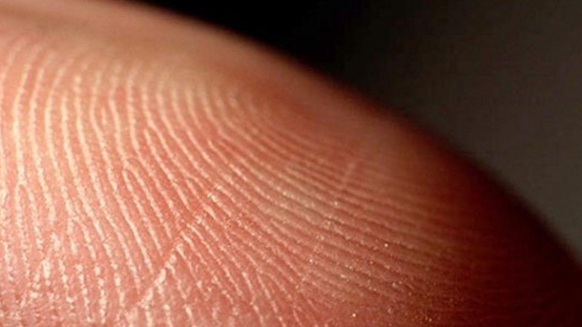 Doğuştan Gelen Mührümüz Olan Parmak İzini Değiştirmek Aslında Mümkün mü?