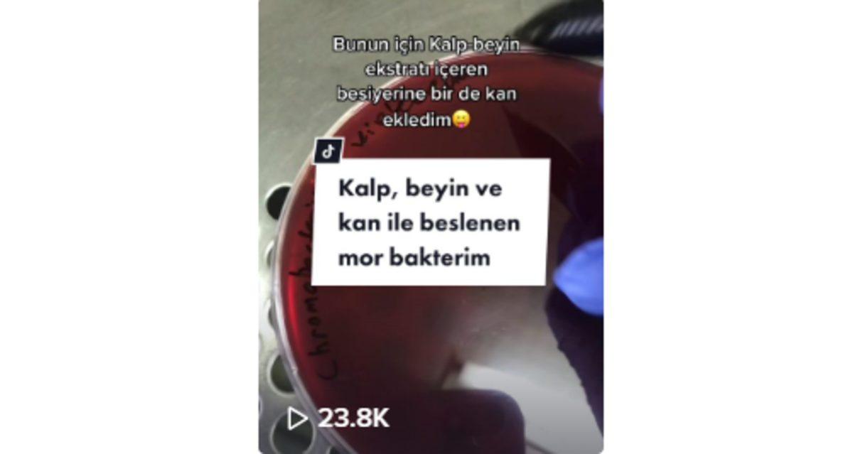 Samanlıkta İğne Aradık: TikTok’ta Takip Edebileceğiniz 9 Faydalı Hesap
