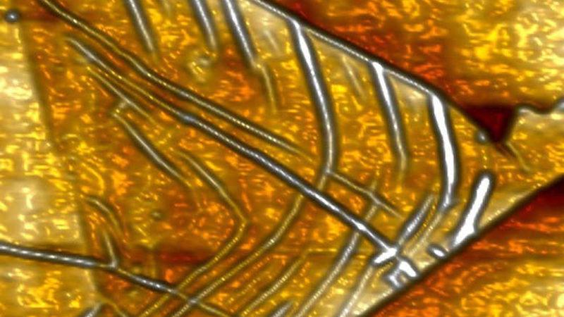 Bilim İnsanları, Bilgisayar ve Telefonları Binlerce Kat Hızlandırabilecek Dünyanın En Küçük Mikroçipini Tasarladı