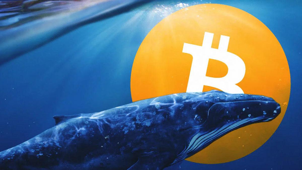Bitcoin ve Kripto Para Piyasası Neden Çöktü, Bundan Sonra Neler Olacak? İşte Yaşananlar ve Perde Arkasındaki Detaylar