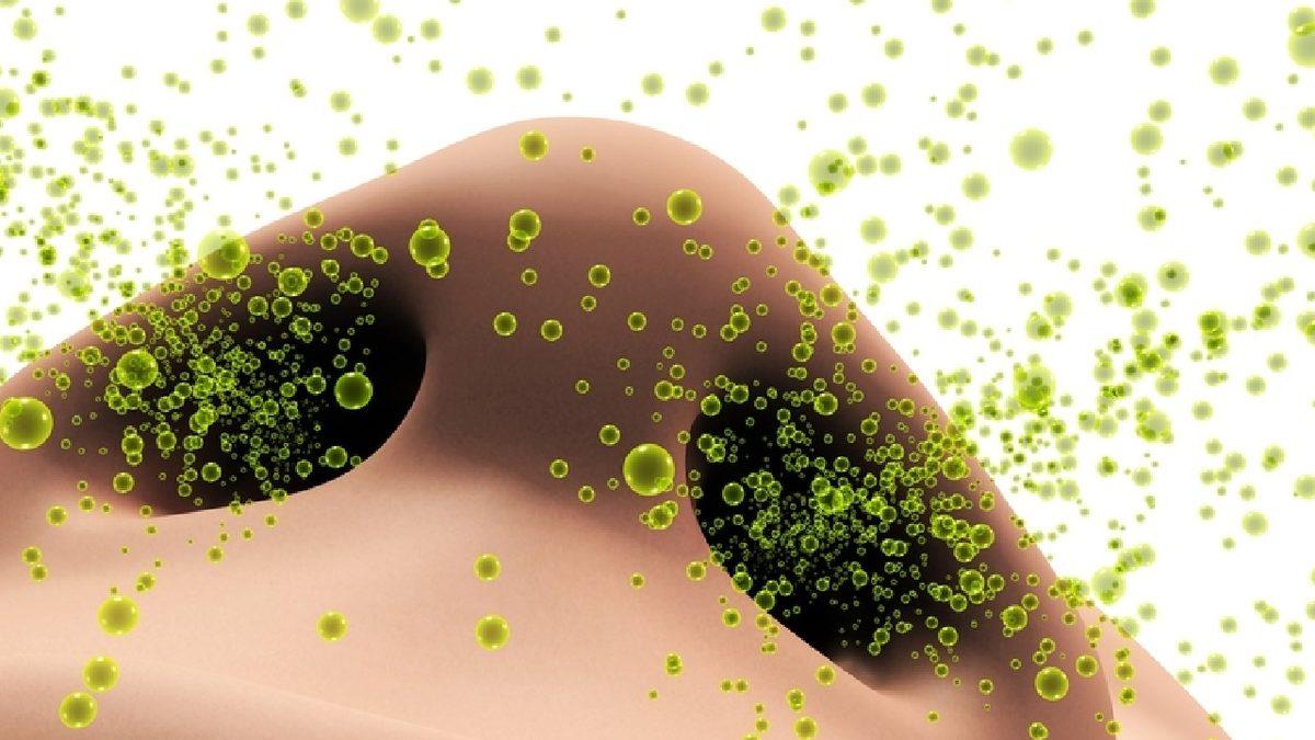 İnsanlar Neden Çoğu Zaman Art Arda Üç Kez Hapşırır?