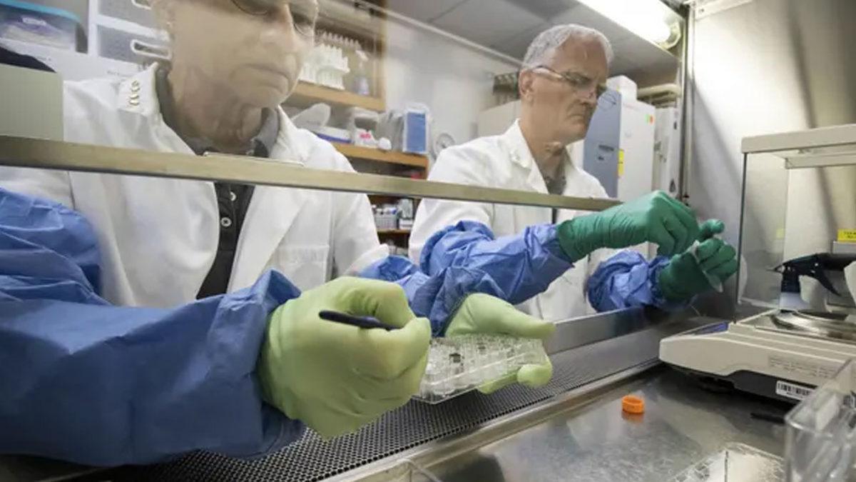 Tarihi Başarı: Ay Toprağında İlk Kez Bitki Yetiştirildi