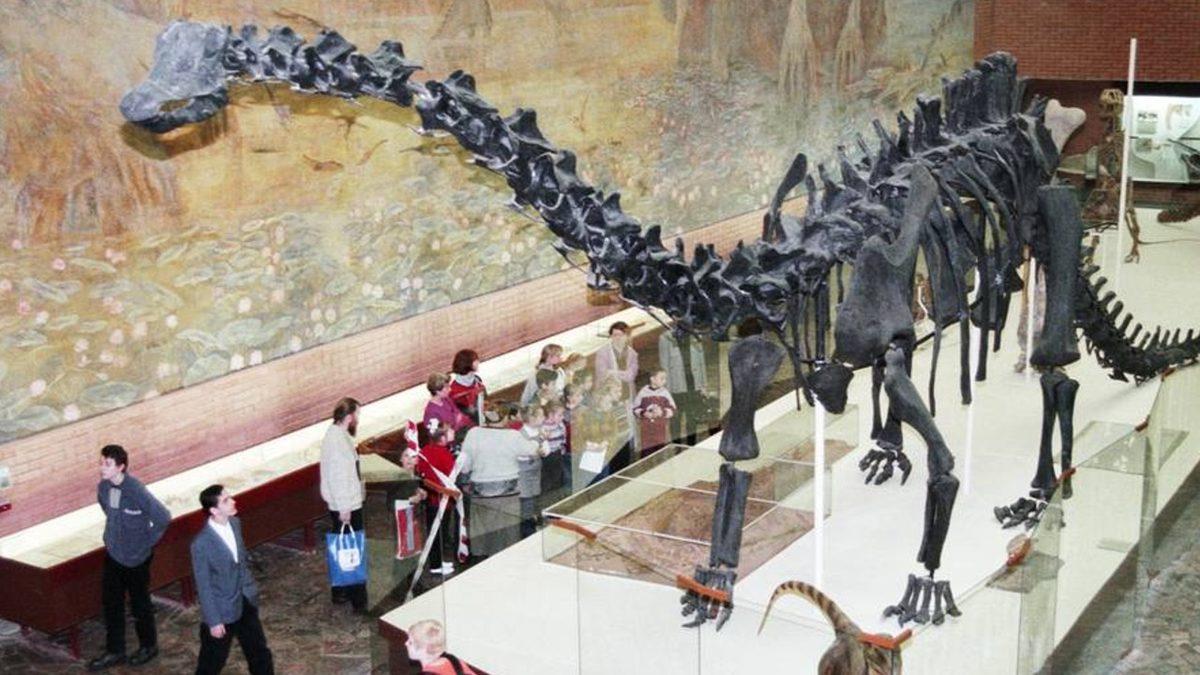 Dinozorların Neden Ya Çok Büyük ya da Çok Küçük Oldukları Keşfedildi
