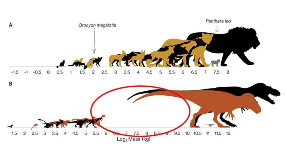 Dinozorların Neden Ya Çok Büyük ya da Çok Küçük Oldukları Keşfedildi