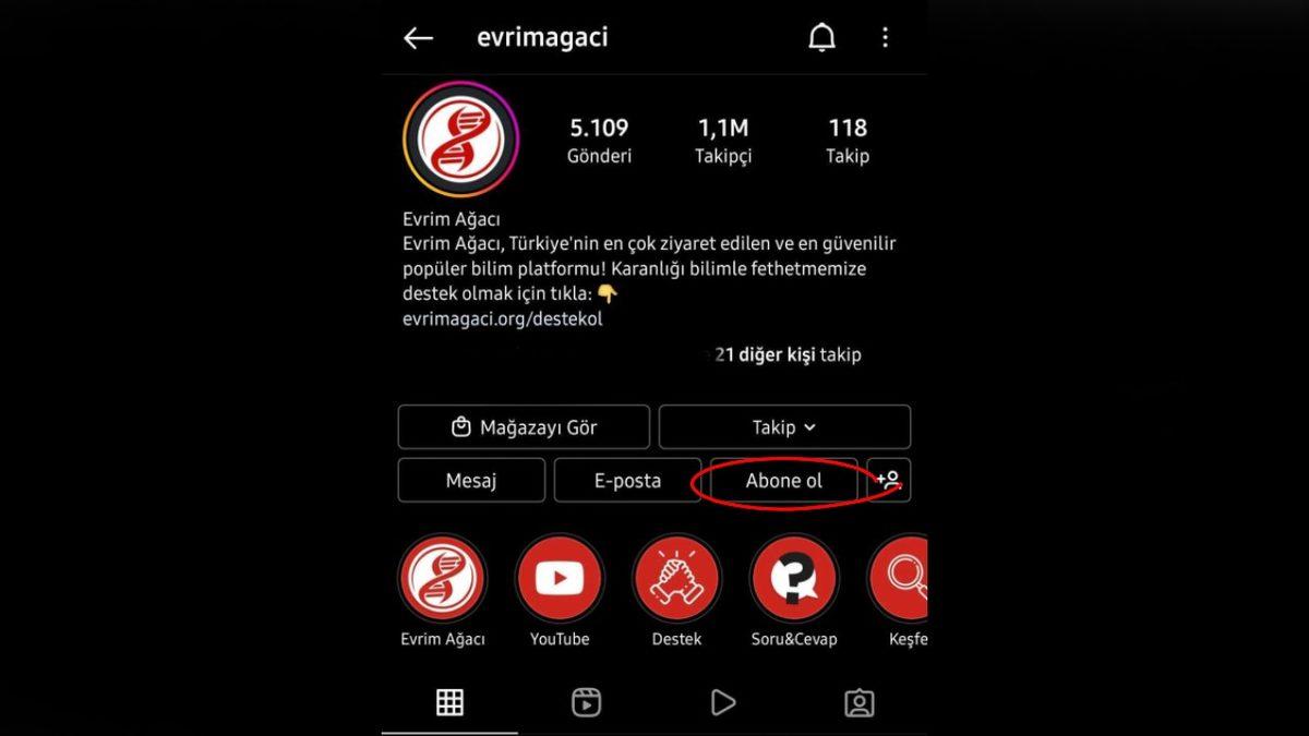 Instagram, Ücretli Abonelik Sistemini Türkiye’de Kullanıma Sundu