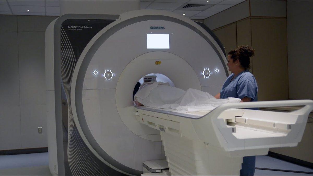 Bilim İnsanları, Beyinde Korkuyu Yok Edip Cesareti Artırmanın Yolunu Buldu