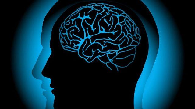 Bilim İnsanları, Beyinde Korkuyu Yok Edip Cesareti Artırmanın Yolunu Buldu