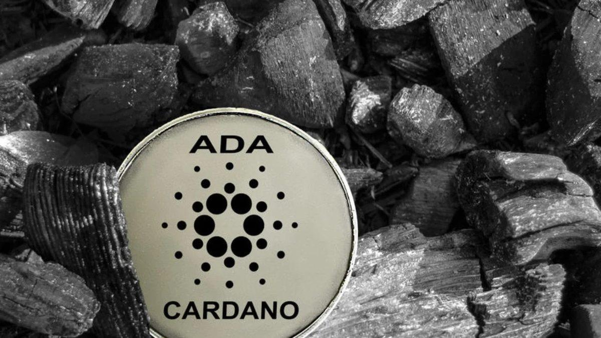 Cardano’yu Uçuşa Geçiren, 1 Mart’ta Gerçekleşecek Mary Hard Fork’u Nedir?