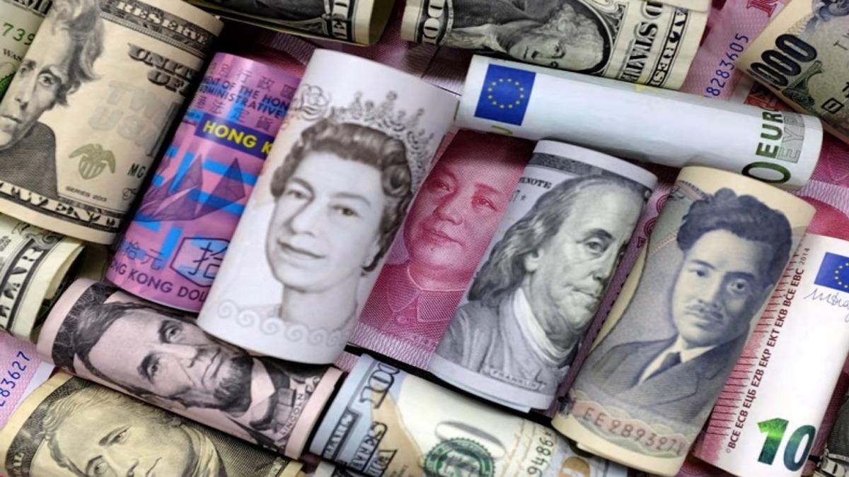 Ekonomi Terimlerinden Biri Olan ’Dolarizasyon’ Nedir, Çeşitleri ve Sonuçları Nelerdir?