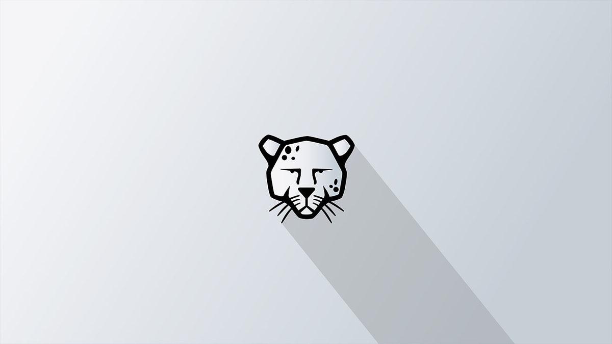 Cumhurbaşkanlığı’ndan Teknoloji Devleri Hakkında Açıklama: Dünya GAFAM’dan Büyüktür