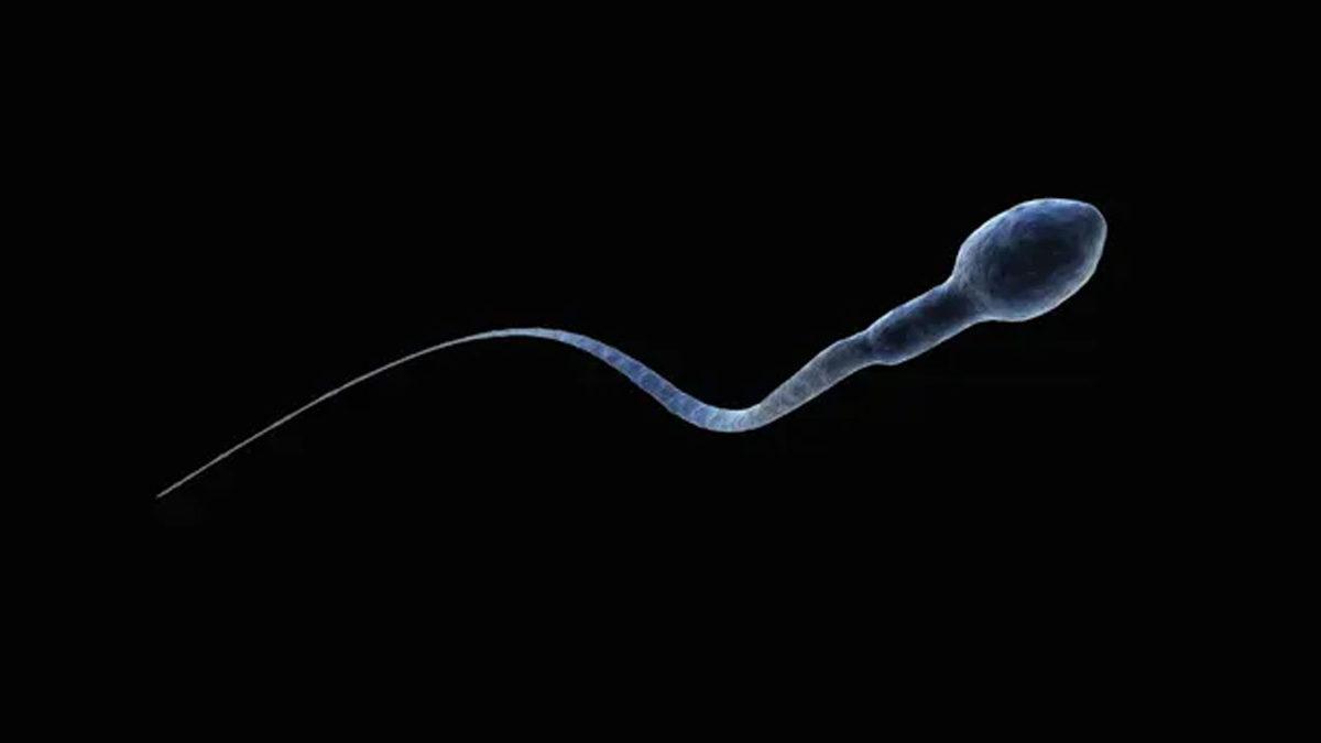 İnsanlık Türü Tehlikede Olabilir: 2045 Yılında Sperm Sayısı 0’a İnecek