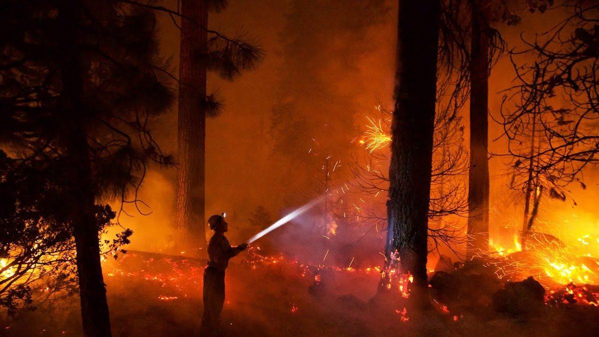 Dünyamızın Akciğerlerini Küle Çeviren ’Orman Yangınları’ Neden Kaynaklanır?