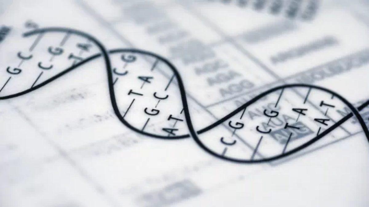 İnsanların Genetik Çeşitliliğini Daha İyi Açıklayacak 64 Yeni Genom Sıralandı