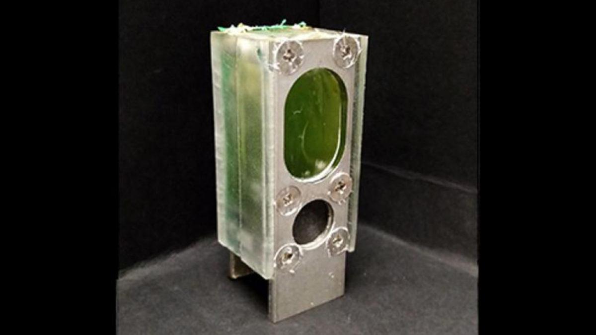 Fotosentez Yapan Bilgisayar Üretildi: Pili Bitmeden Günlerce Çalışabiliyor!