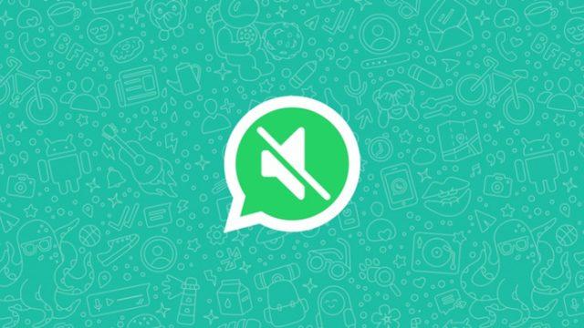 WhatsApp, Video Sesini Kapatma Özelliğini Android Kullanıcıları İçin Yayınladı