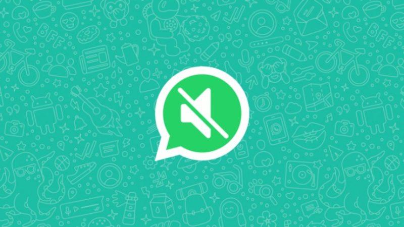 WhatsApp, Video Sesini Kapatma Özelliğini Android Kullanıcıları İçin Yayınladı