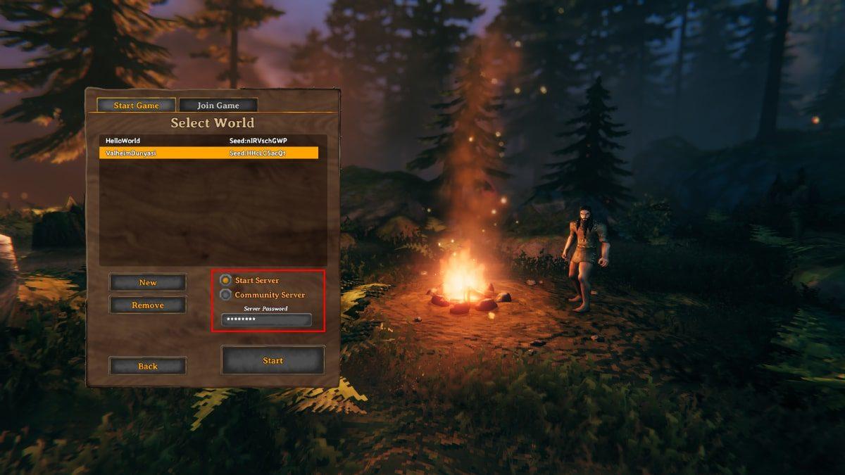 Valheim Sunucusu Nasıl Kurulur?