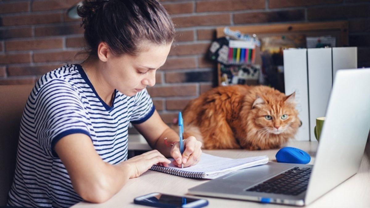 Öğrenciler Toplansın: İyi Bir Ders Çalışma Programı Nasıl Hazırlanır Adım Adım Açıklıyoruz