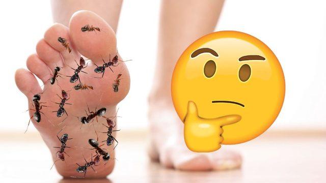 El ve Ayaklarımızdaki Karıncalanma Hissinin Bilime Göre Sebebi