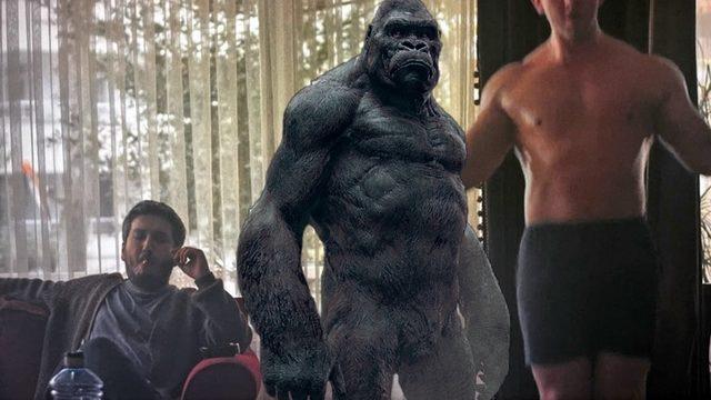 Goriller Çoğunlukla Ot Yemelerine Rağmen Nasıl Oluyor da ’Vücutçu Yalvaç’ Gibi Kaslı Oluyorlar?